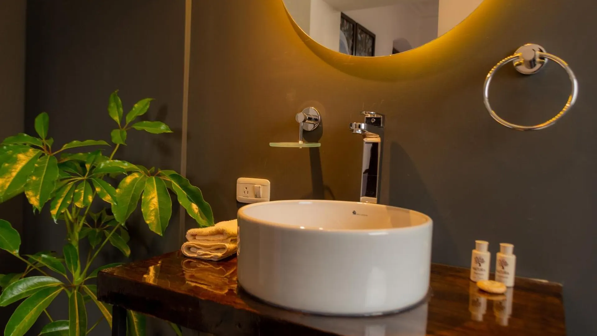 Guest house La Banksia Hotel Quito