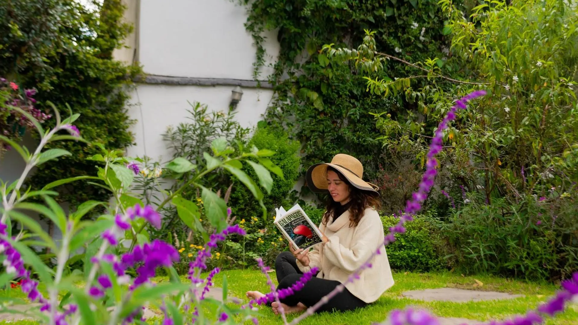 La Banksia Hotel Quito Guest house